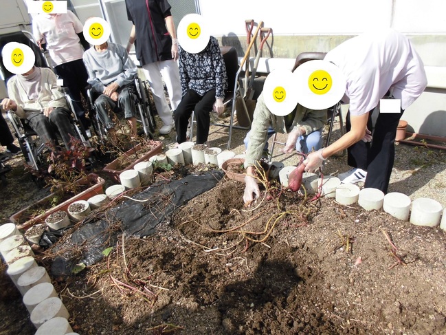 作業開始後皆で収穫
