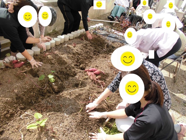 大勢で収穫