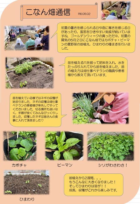 R6.5　こなん畑